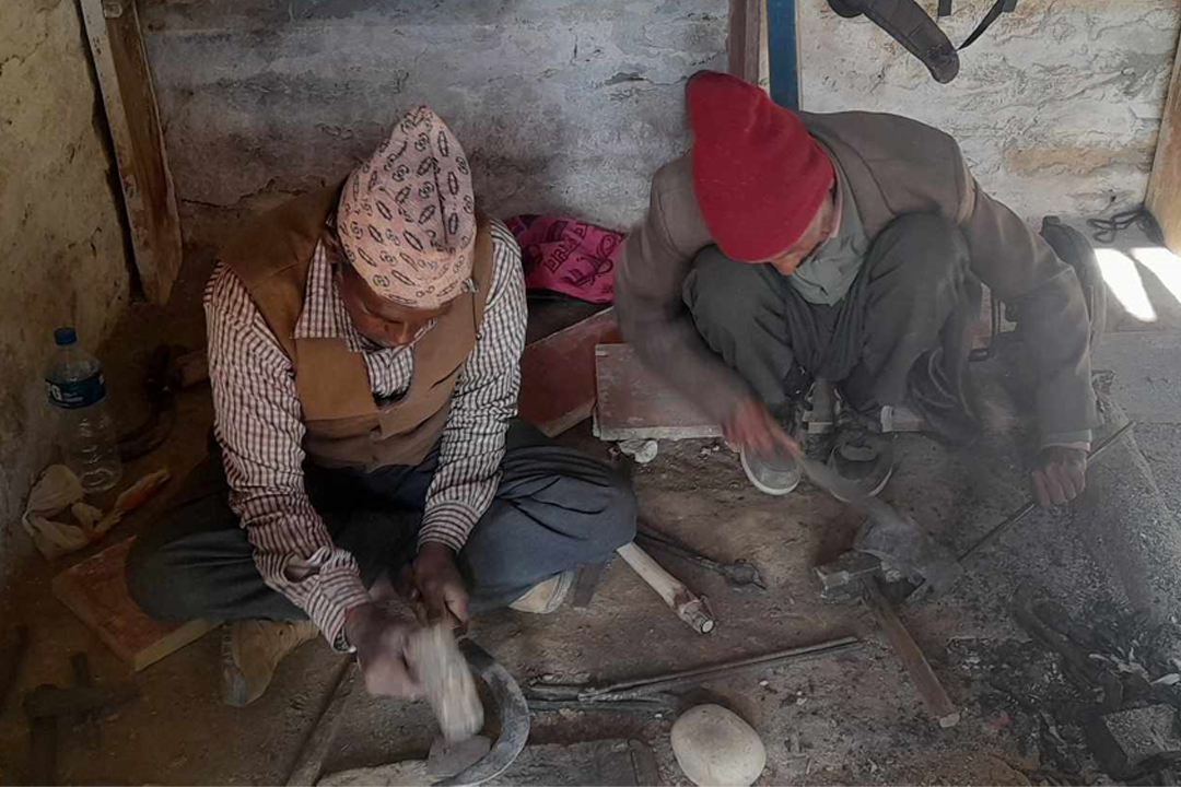 परम्परागत सीपलाई व्यवसायिक बनाउन तालिम, अनुदान पनि दिइने 